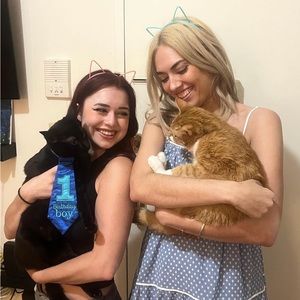 Cat Ears Hair Holder Metal Headband Pink Cat Ears